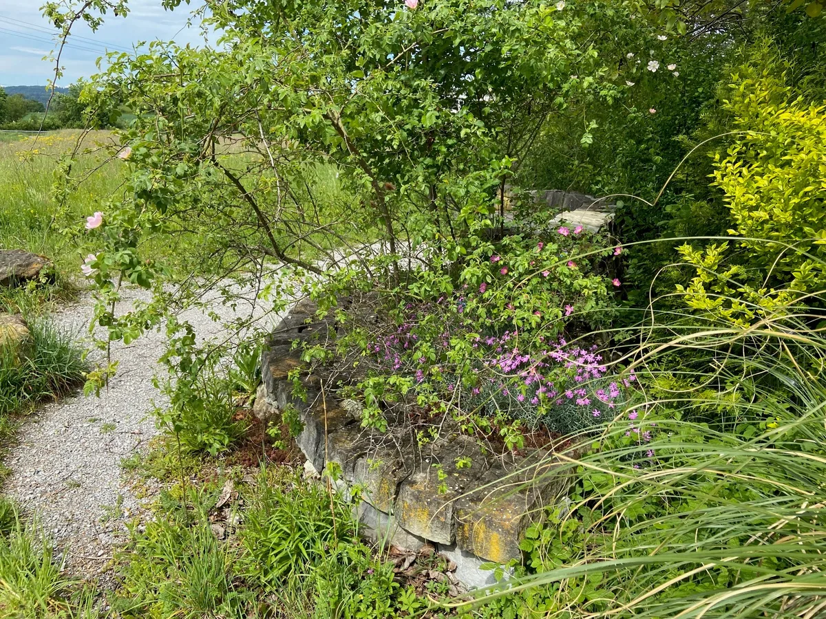 Eine Mauer und rosafarbene Blüten.